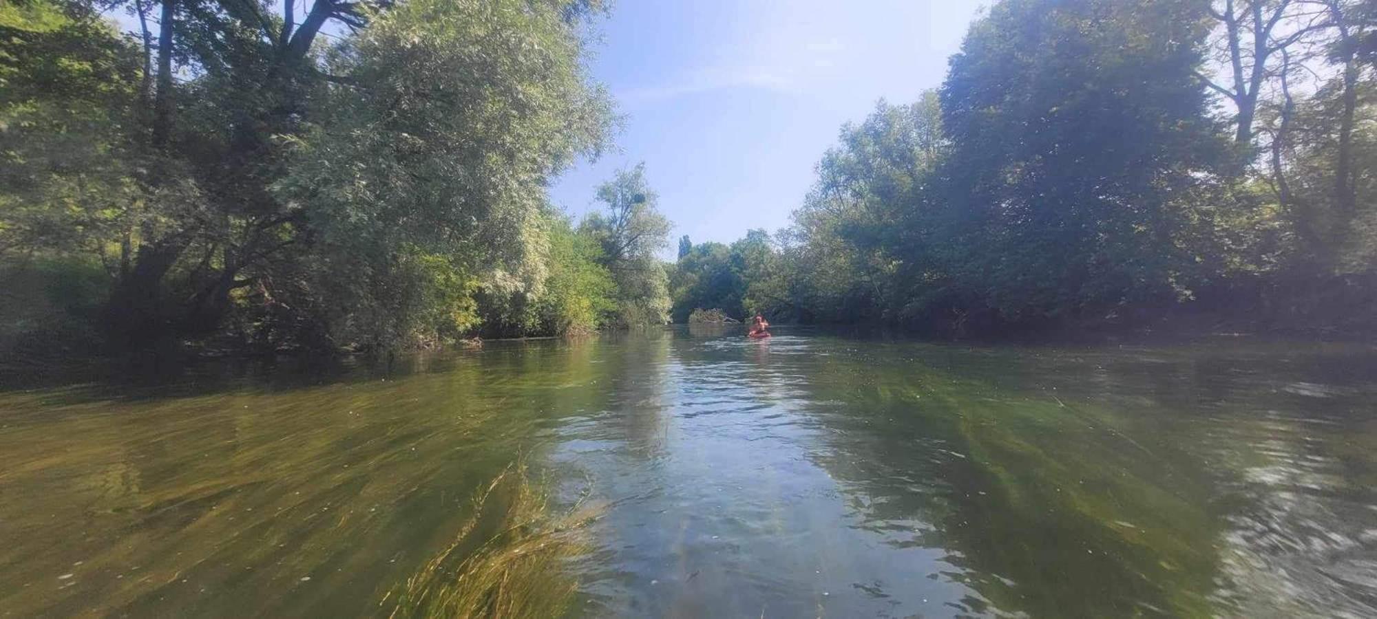 Detente A Sorques Montigny-sur-Loing 外观 照片