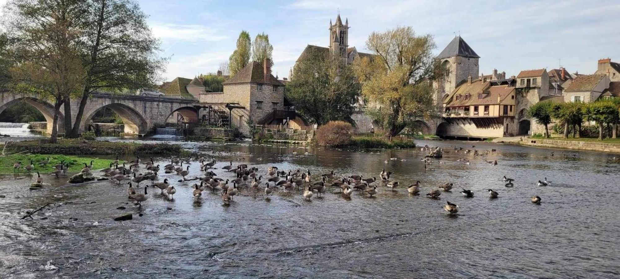 Detente A Sorques Montigny-sur-Loing 外观 照片